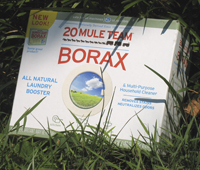 photo of box of 20 Mule Team Borax