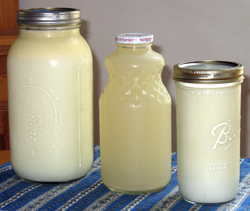 photo of fresh milk, homemade whey, homemade yogurt