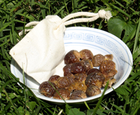 photo of soap nuts loose in a dish plus a laundry bag full of them