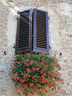 shuttered window in a hill town