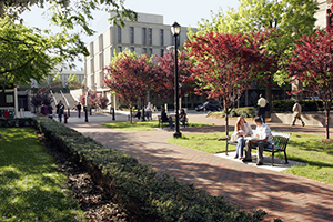 Rutgers Newark Campus