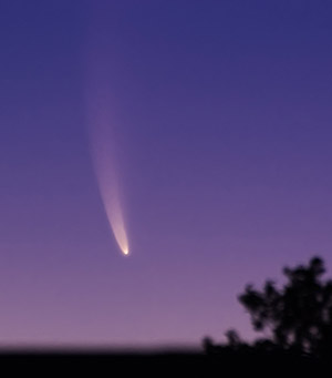 Comet McNaught