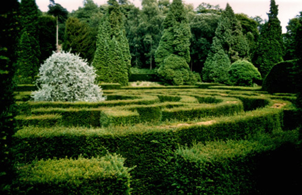 Maze Garden