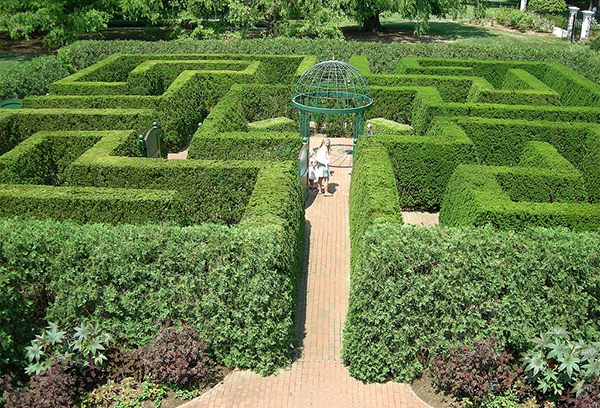 Garden Maze