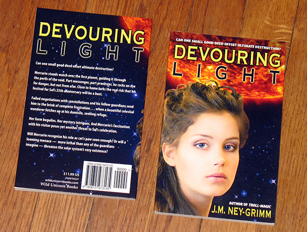 D Light paperback