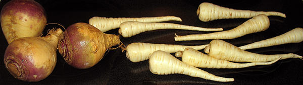 rutabagas and parsnips