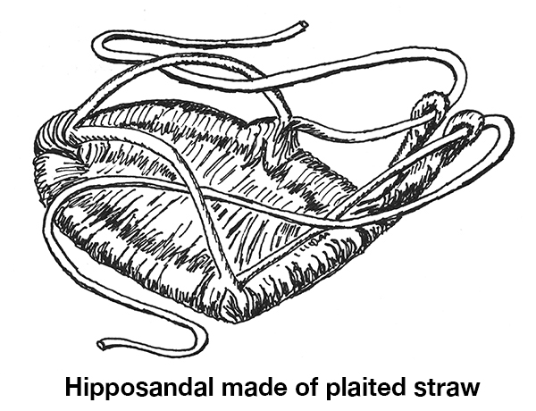 hipposandal 1