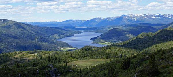 Summer Landscape Telemark