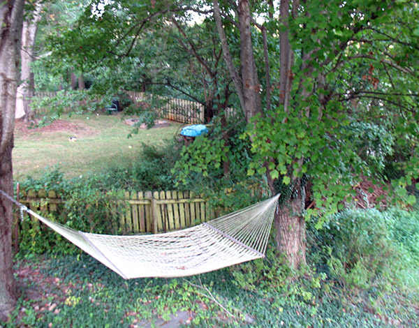 backyard hammock